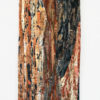 revealing_deep_hidden_things_17x56 copy