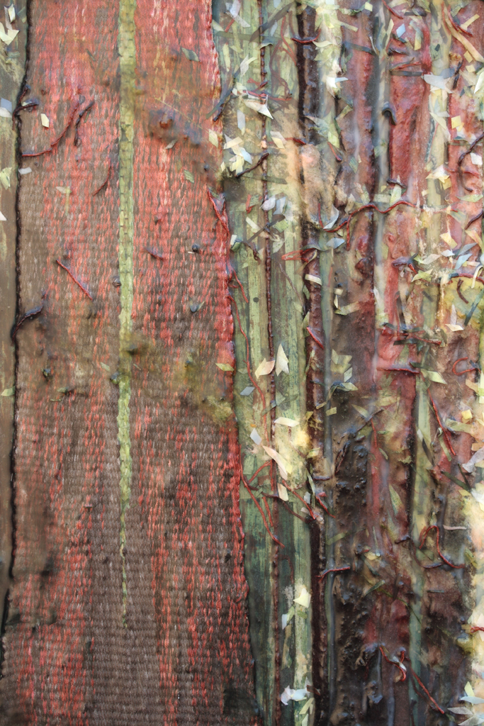 rooted_in_community_detail